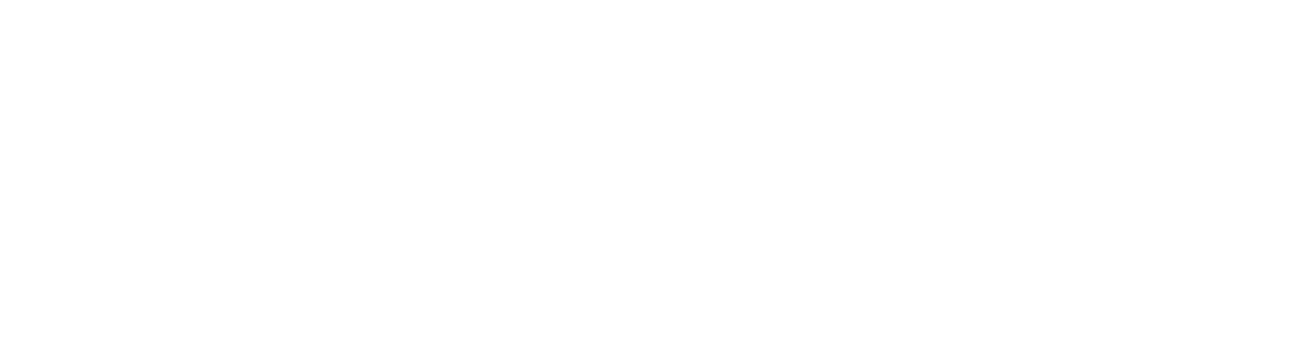logo light
